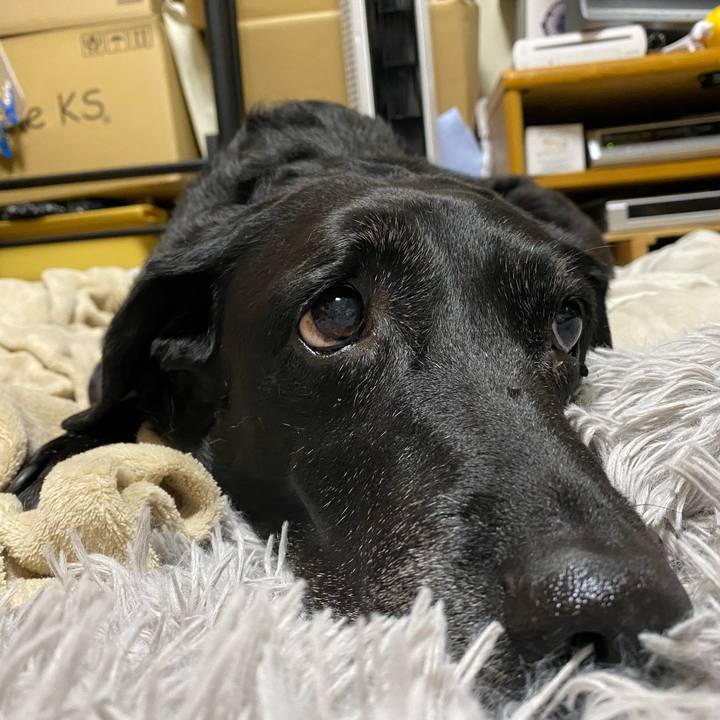 E2266714 fb33 4bde b41f d72117d6440c 1623239592202