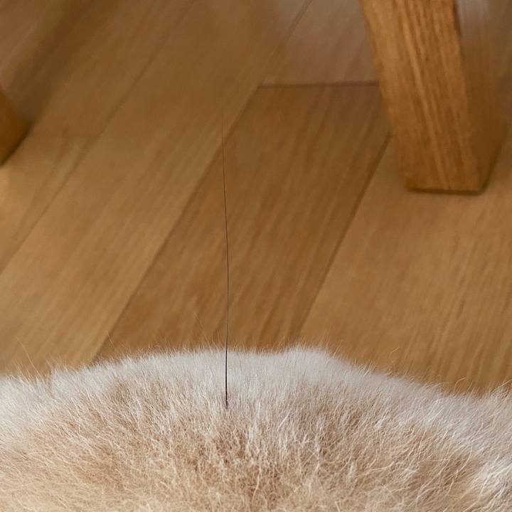 E22677a6 f72c 439e 9753 7d05bc031706 1661146763654