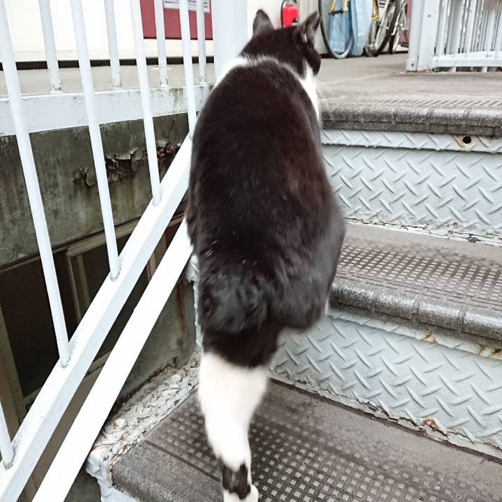 E226d260 7068 4bcd b120 7f75490ea392 1671261849433