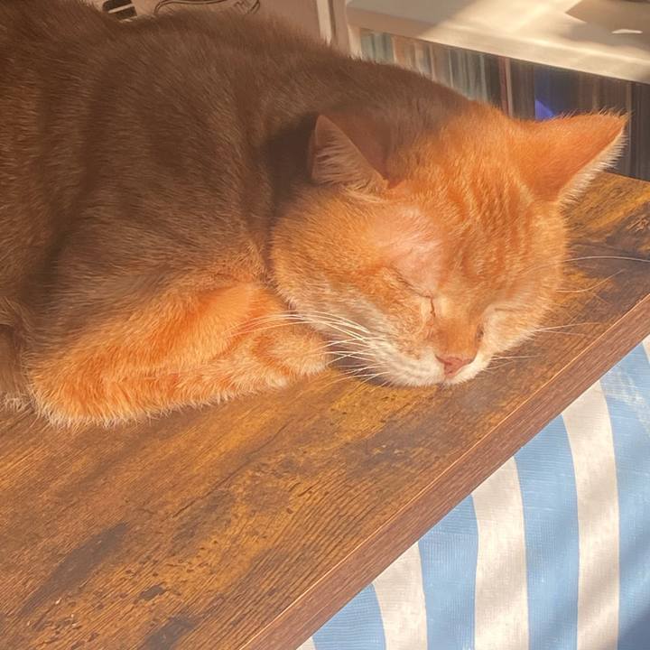 E226d621 7bc5 4189 8f86 05ea67a33607 1764472797259