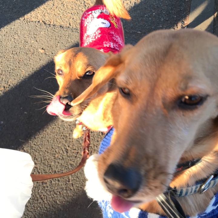 E226e7b4 4053 45cc ab3f 4db7bb745fc1 1546583895035