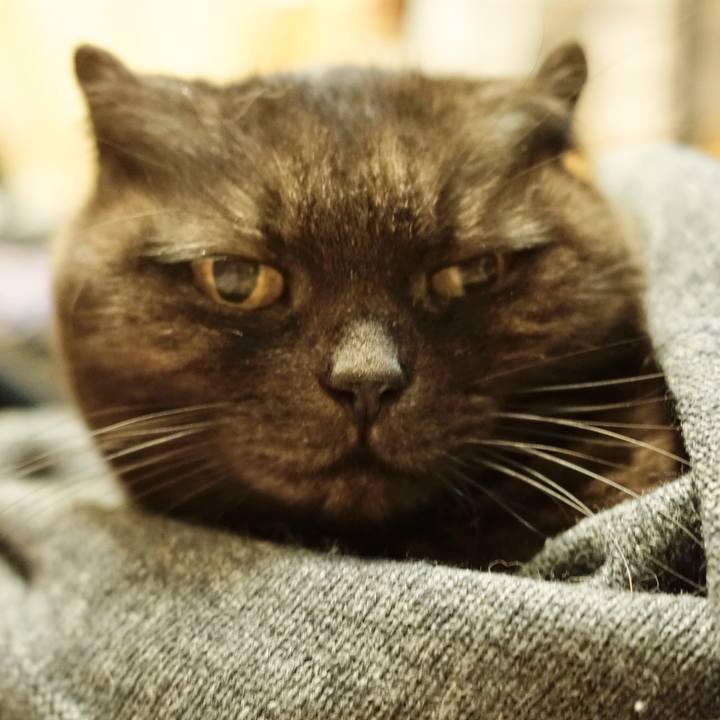 E226fd13 d896 465d 81ca 8a84dde82586 1613185996258