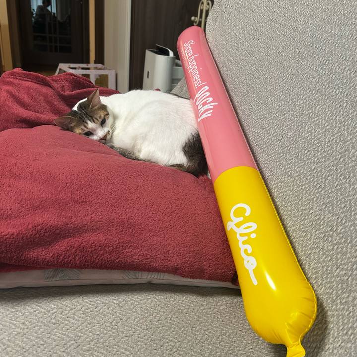 E2271432 bd16 4d30 ac93 6baa09778551 1762829196928