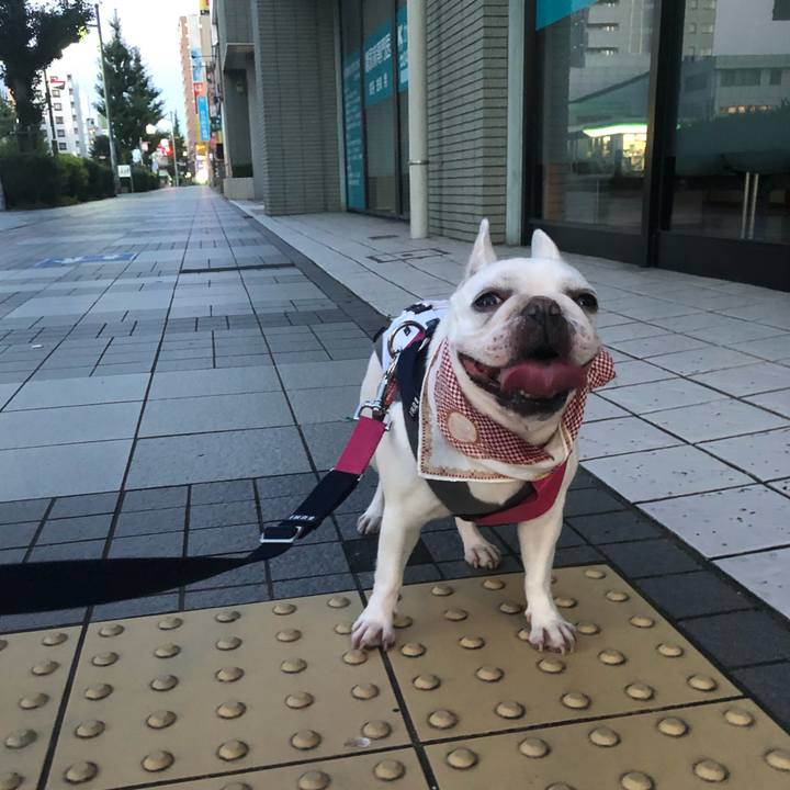 E22717f1 5d12 42da bfba 3436c7e05ede 1597098305353