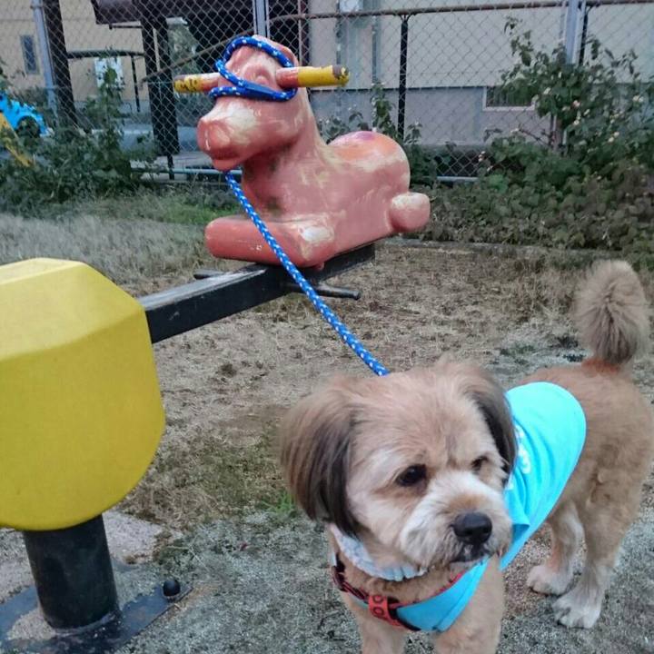 E227475f b2e0 4fe5 ba69 4341d1ea7000 1514623330048