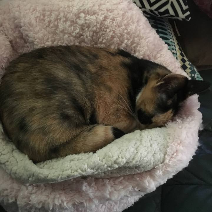 E22770cf dee7 4f03 bf24 928f807946e0 1508725572764