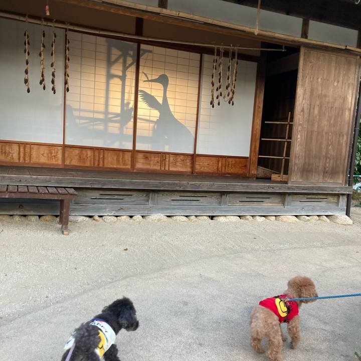 E2279b1d d734 4bcc 95ac 39ba0686339e 1669093759095