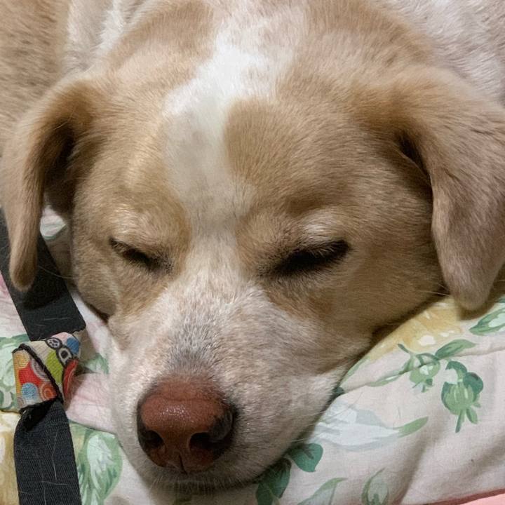 E227e950 a7d9 4ffe 81a9 a04de9863efa 1561301313055