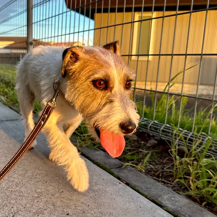 E227eb1e fb11 4810 8bd2 17f2bec2671c 1752498486287