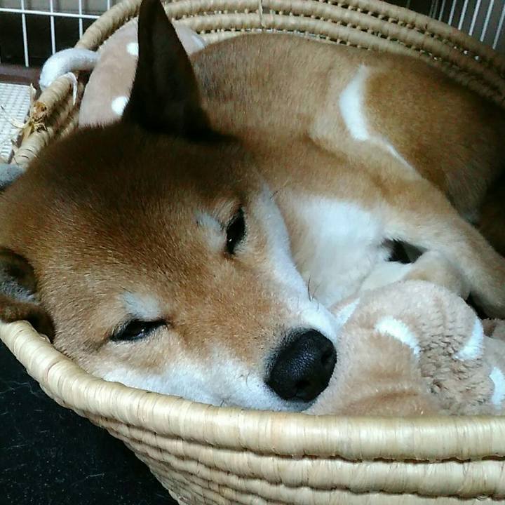 E227f52c 8817 4068 8ca0 aa96b04cdf86 1548510911287