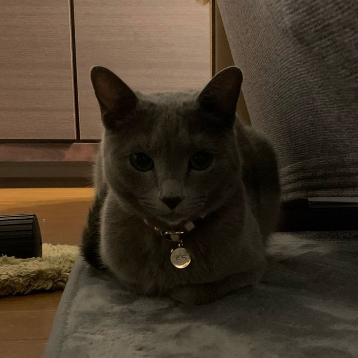 E227f9ce e035 4179 8a2e b79412388a5d 1668819564176