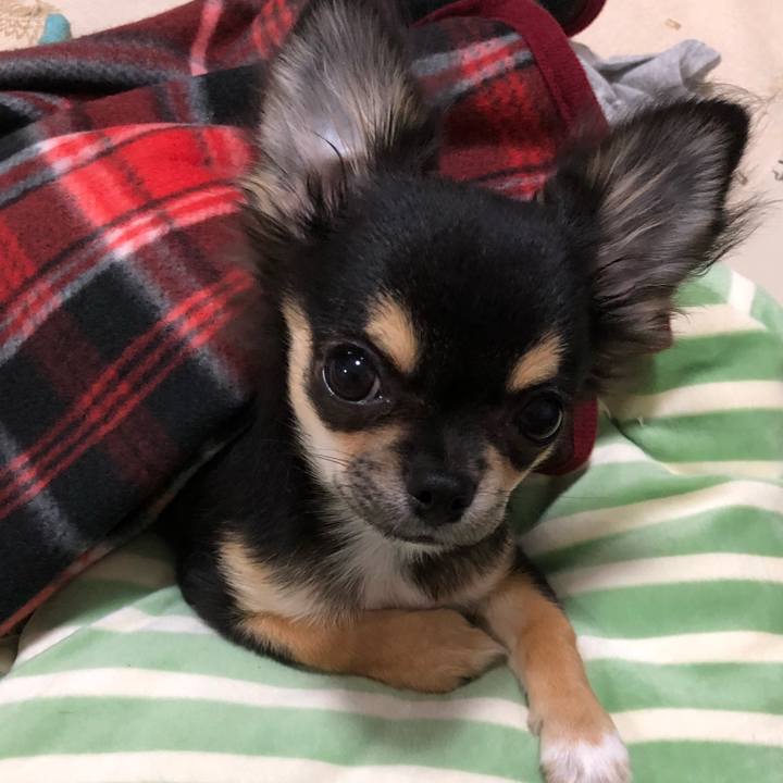 E2285c4d 0d83 4927 968d 5a620229c0e9 1540728283490