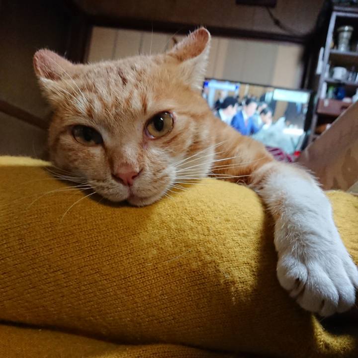 E2289656 01fa 4453 82dc f3c4750cb59d 1573121969349