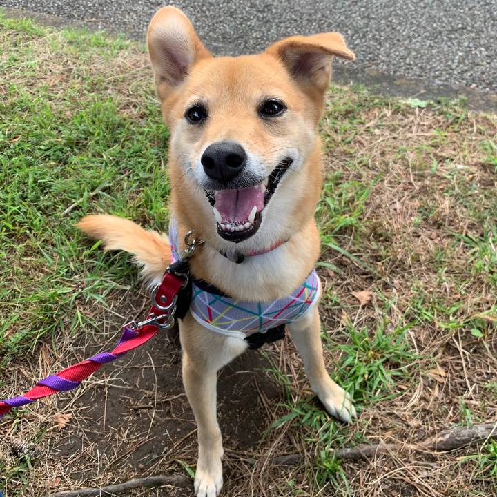 E228f53f 3981 489c b2a4 30d6edf4a101 1569223635987