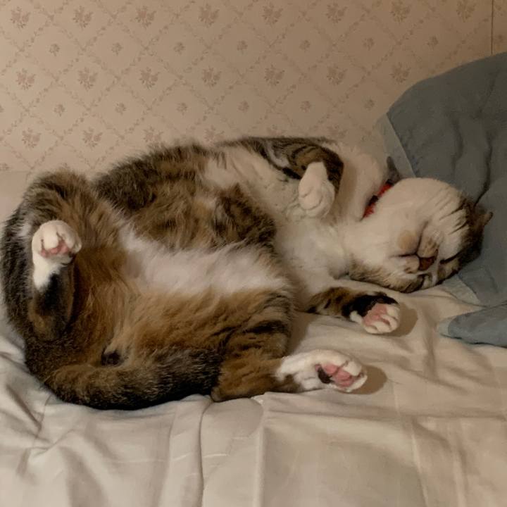 E228fec2 3bff 418f ad61 784ff89358d4 1658585266030