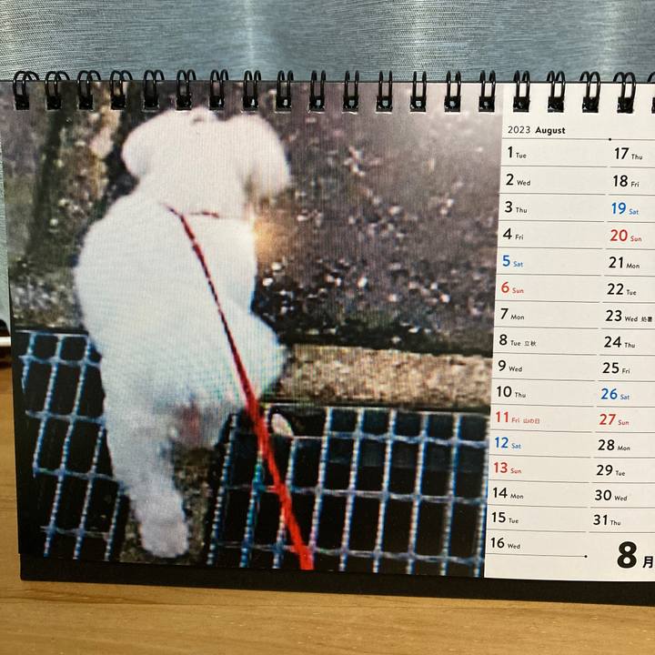 E22903ed 07dc 4b60 9f42 06d0d8e4f2f1 1692026706058