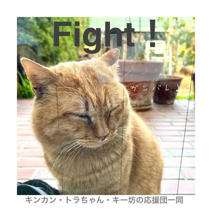 E2291fbe 1f8d 4af7 b1b2 9ae6cf8eef4a 1674613794690