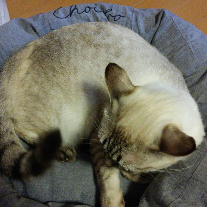 E2296749 678a 4f82 b826 bbed12276034 1508923136840