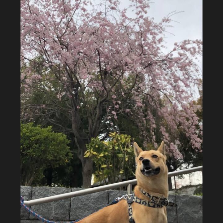 E2297736 20fe 4c5a 90bb 9672318bd392 1555213726023