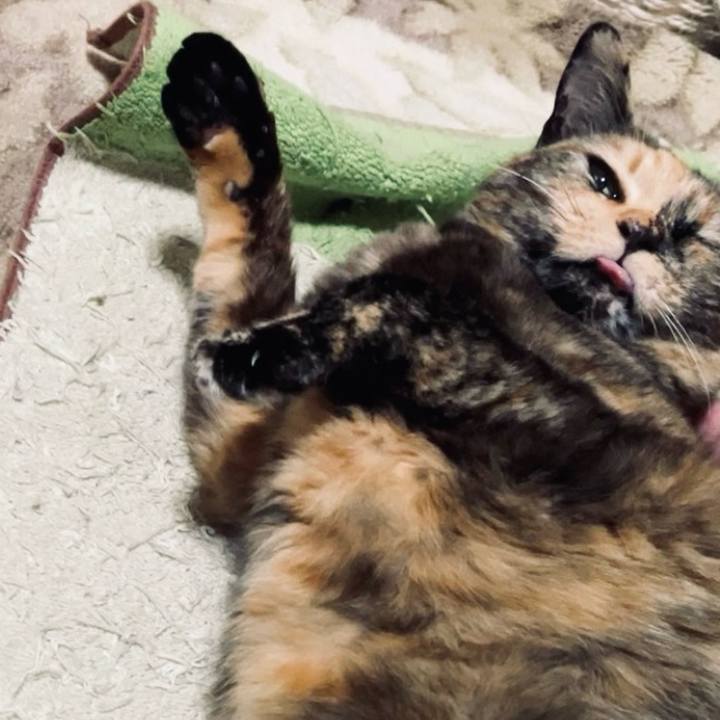 E2297754 22c4 493f 8d5f 2fb33a10b5e3 1742126808864