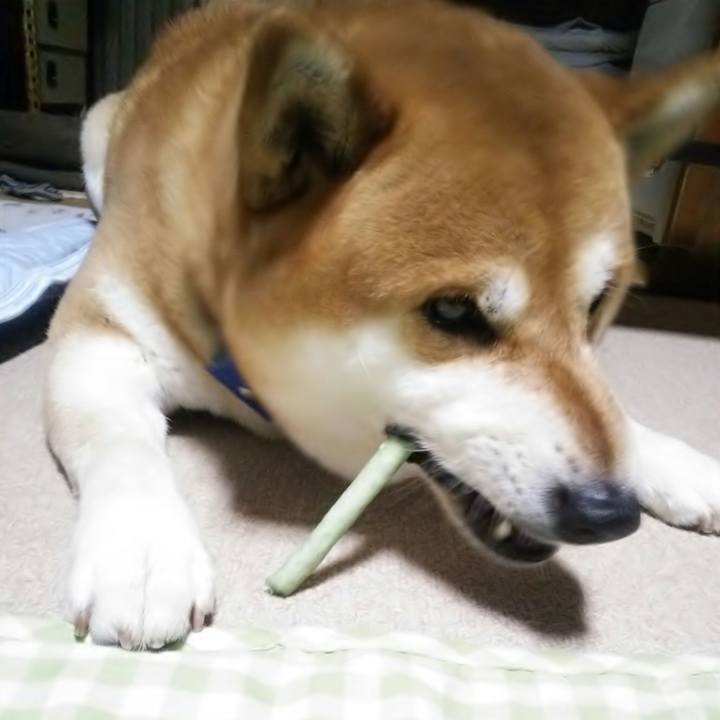 E22988e2 da14 482e 923b 97e93492c12b 1530868927828