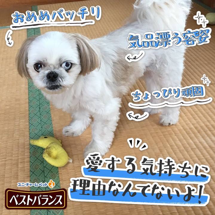 E2298f55 a8db 4dd8 ba9a 70ad21e68877 1542031790570