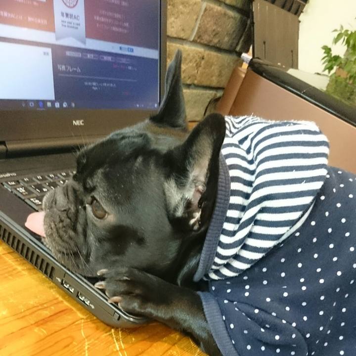 E229a4f8 981d 4977 b97d ccd1d5a1867f 1511506186961