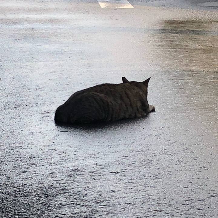 E229aeba d7c8 411f 8f98 df76f364ab1d 1535603128015