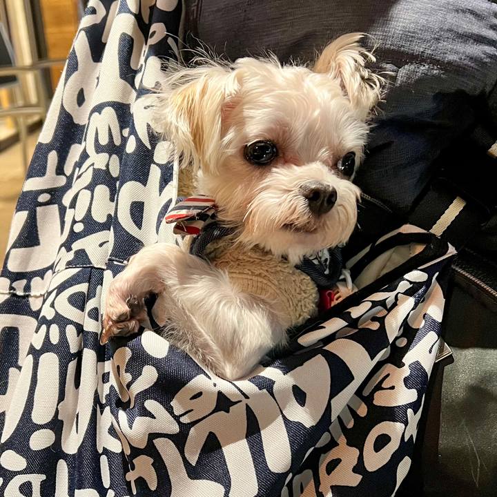 E229c8e2 8fef 4a4e 999d a3e282779c92 1672140370509