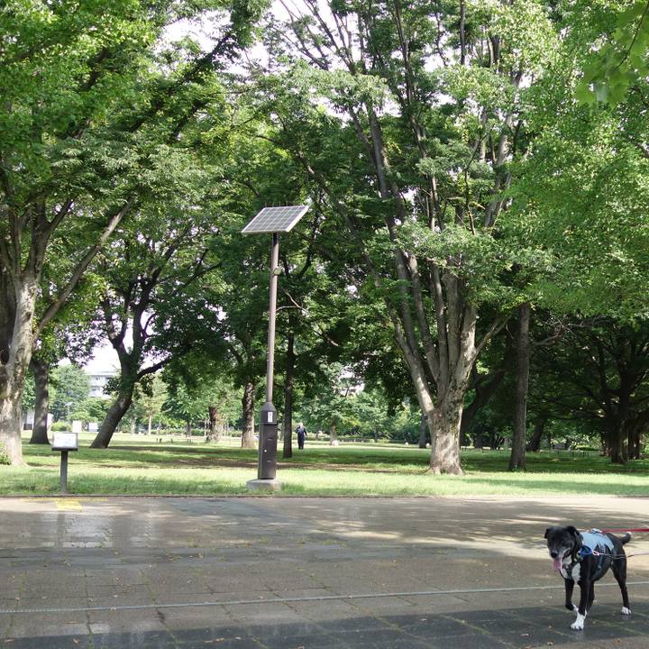 E22a3435 0c5a 4d29 9e56 0972eedb4fa4 1716511932708