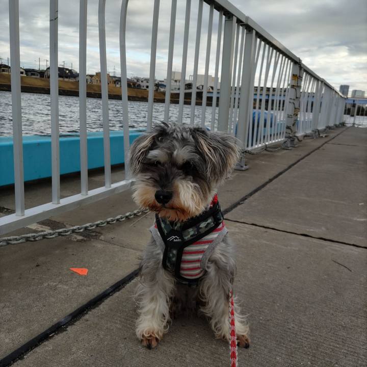 E22a3d23 e8d9 4af3 92f1 318311686230 1699881628719