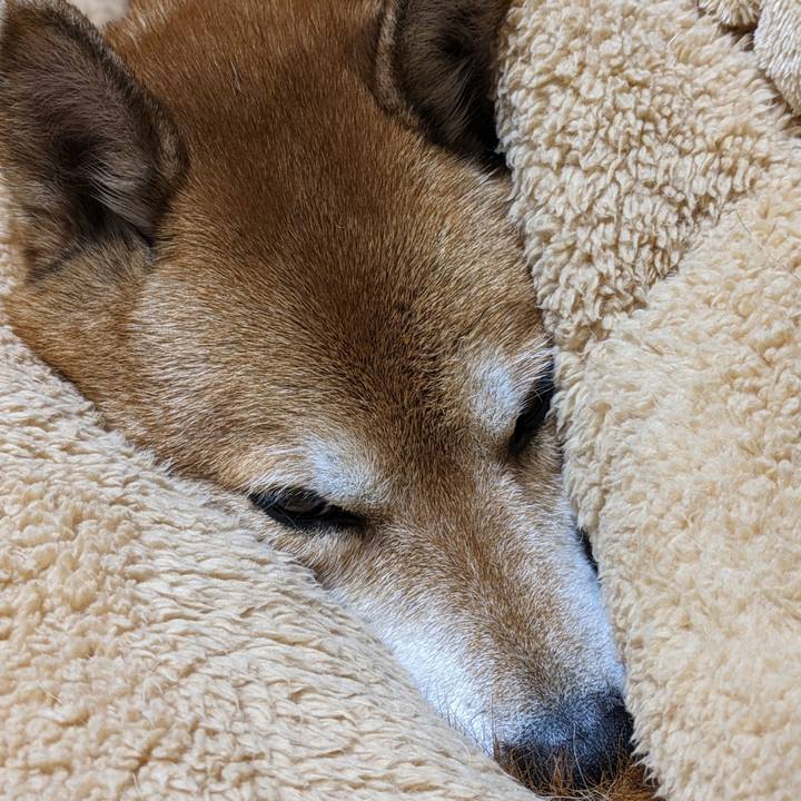 E22a8a24 ed28 4c65 972c e6f98ee2ddc4 1703254320877