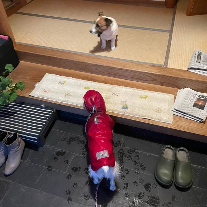 E22a9ecc 1434 45f4 9803 6b3670070a2c 1767568442026