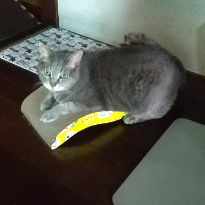 E22ad1cc 1140 4ec9 b02a 225457f99104 1658200274006