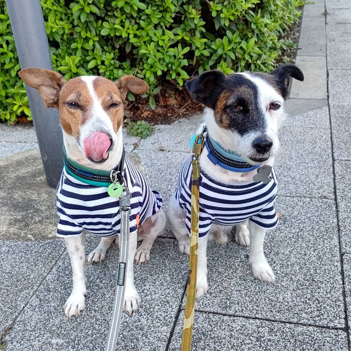 E22ad22c 1831 40af bb29 0c1620442a17 1697154956347