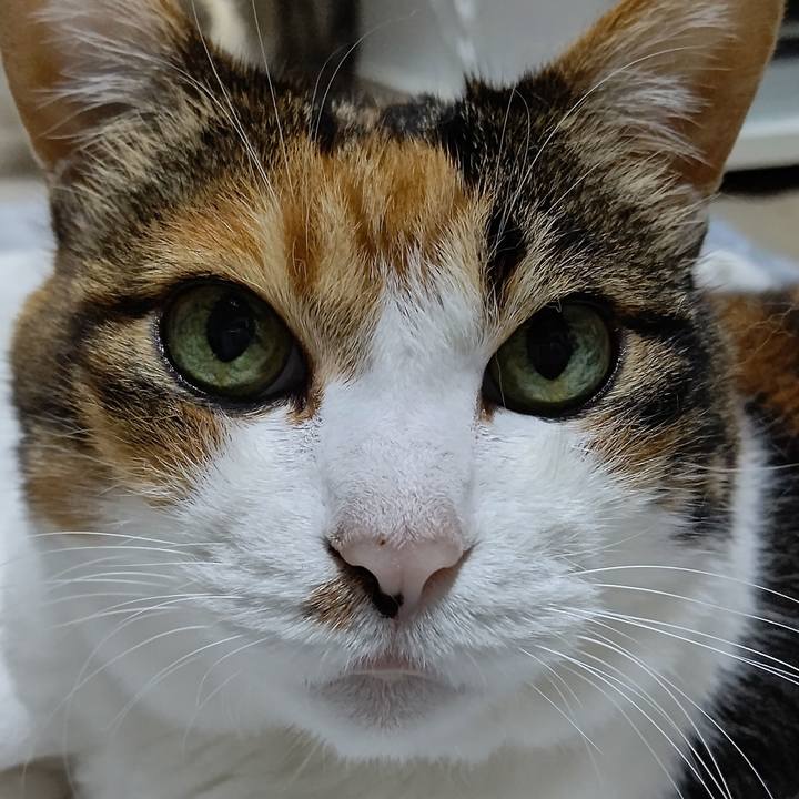 E22ad583 7323 41f6 a1b0 36201f22b458 1627472931533