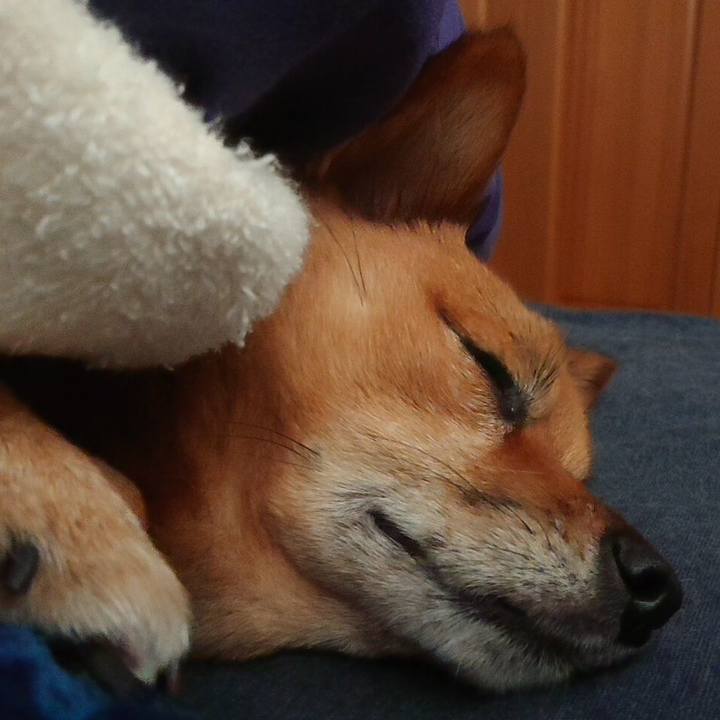 E22af0ba 7348 4e4f 82f1 3744ee59303d 1585447471733