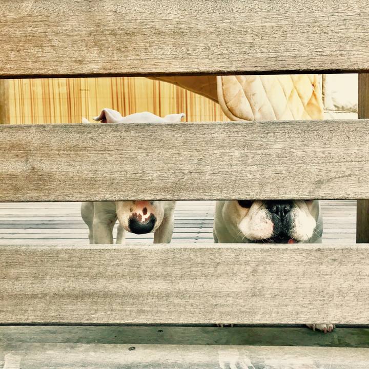 E22b0638 d184 486e b42b 2335e527887a 1509761844291