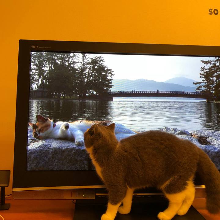 E22b13f7 f83f 4611 9b50 da867131910b 1513345465150