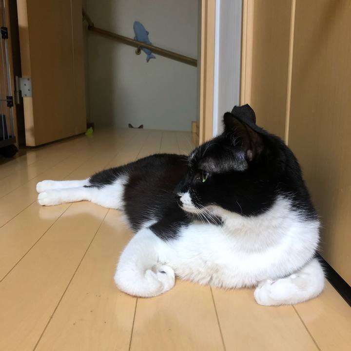 E22b713a a683 48b0 bccd 75c8bbac54d3 1628105876014