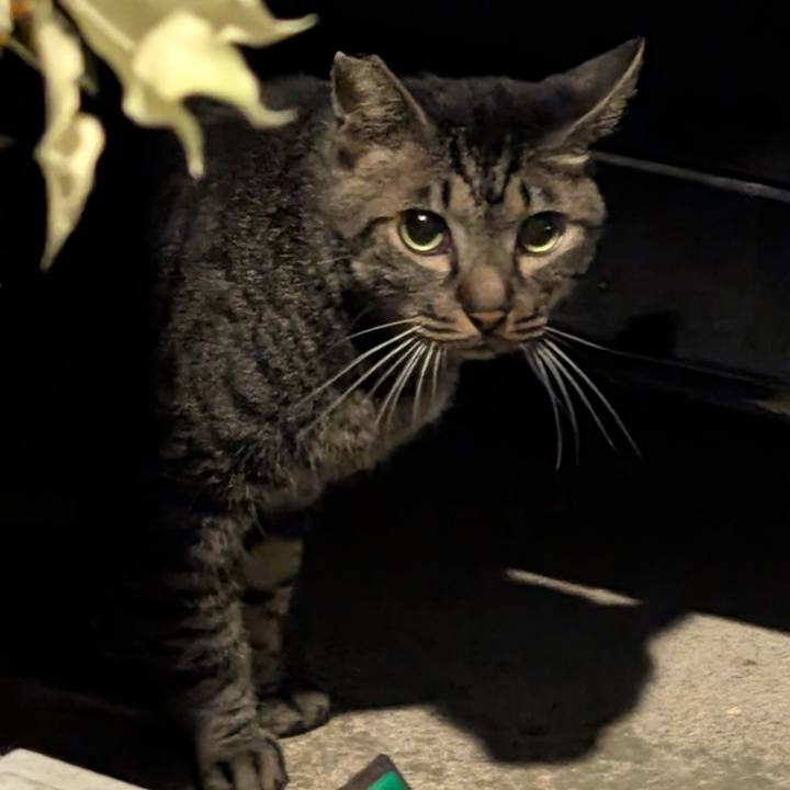 E22b7940 dd88 4e43 99b6 d0ee23213aba 1755044420941