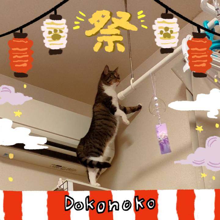 E22b89b9 00fc 48b8 85c7 24ba71b77820 1723304498021