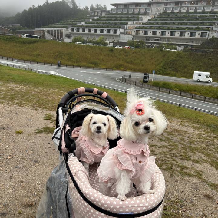 E22ba99c a391 436e 85df 5e00535ba8a0 1759577604546