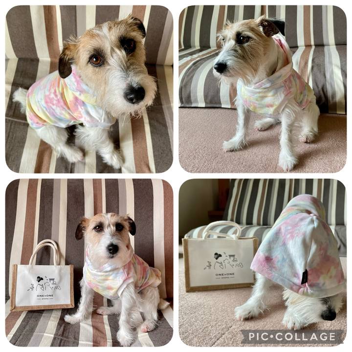 E22bcb74 062b 4bbf 985f e6363c458d08 1648613747951