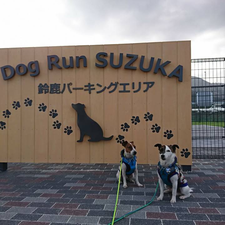 E22bd364 ab8e 4879 a52e 19ac56e56181 1555744939836