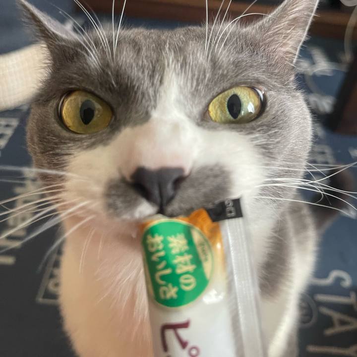 E22be33b 6e3d 46d3 9a25 5c7362c1e831 1716707605282