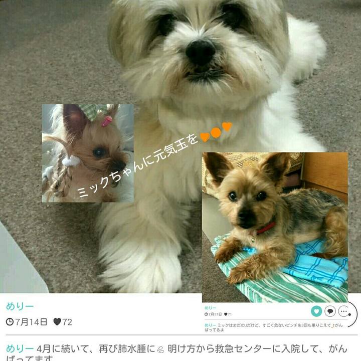 E22bf7ab a5e3 4abb 8ce2 45de8ea5d7a7 1531968176693