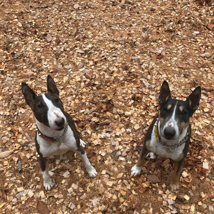 E22bfeaf d78c 424e 948a 495a35edeafb 1510978566418