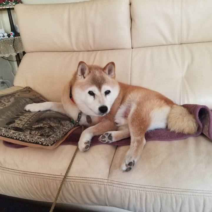 E22c2959 11a8 449e 849f 2f464003afc9 1721612731195