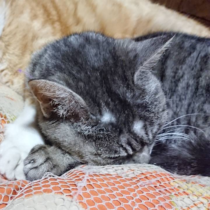 E22c2c9f 6dd0 4441 8f6e aedc81a5e0fd 1584536996507